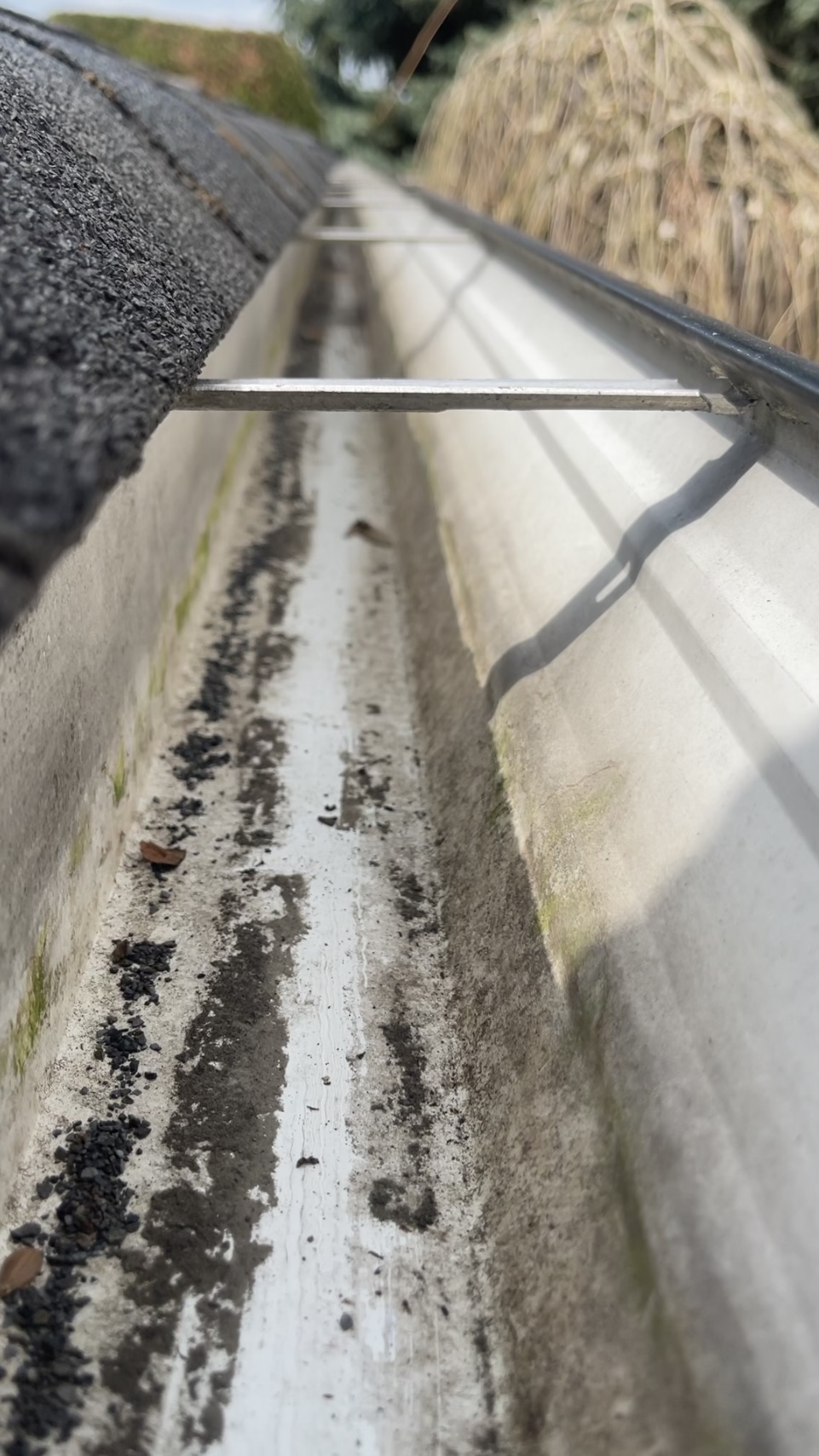 Gutter Cleaning Before