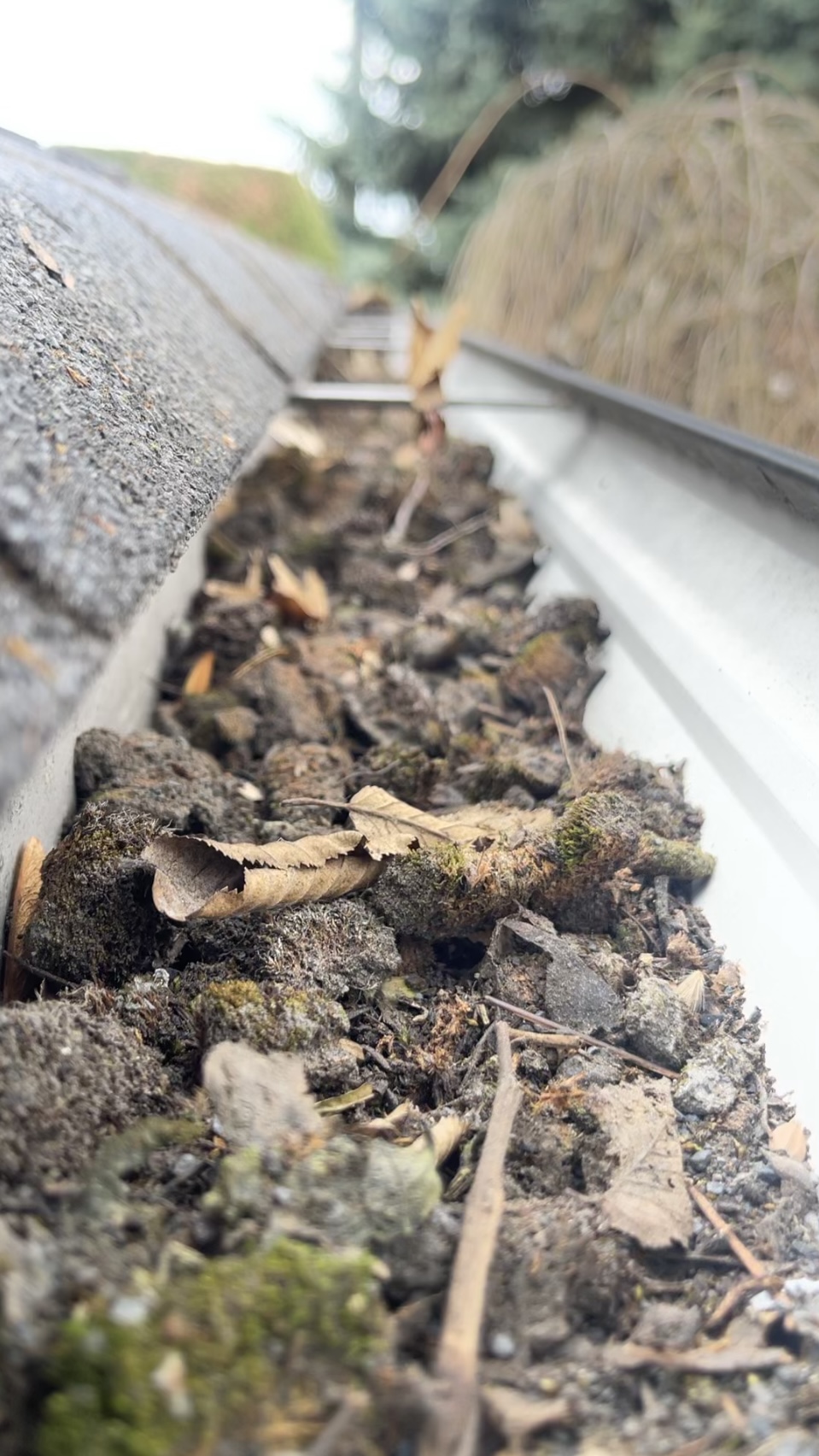 Gutter Cleaning After